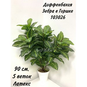 Куст Диффенбахия зебра. Диффенбахия искусственная в горшке. 103026