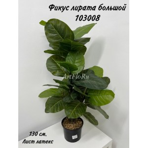 Куст Фикус Лирата большой. Фикус искусственный. 103008