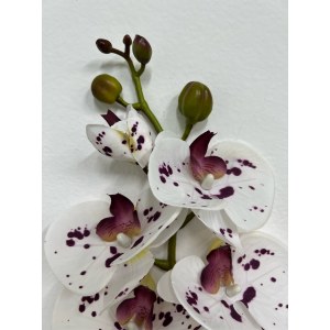 Орхидея фаленопсис искусственная. Орхидея Далматинец. Вид 11. 109011
