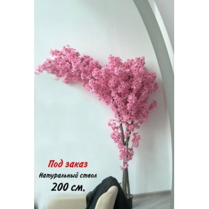 Дерево Сакура искусственная 200 см. Розовое облако. 900001