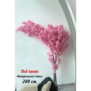 Дерево Сакура искусственная 200 см. Розовое облако. 900001