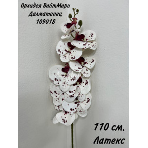 Орхидея фаленопсис искусственная. Орхидея ВайтМари Далматинец. Вид 18. 109018