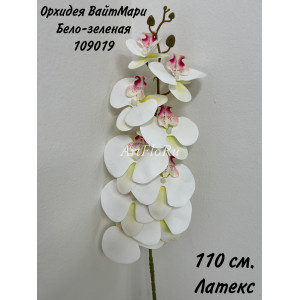Орхидея фаленопсис искусственная. Орхидея ВайтМари Бело-зеленая. Вид 19. 109019