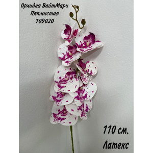 Орхидея фаленопсис искусственная. Орхидея ВайтМари Пятнистая. Вид 20. 109020