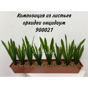 Композиция MIX из листьев орхидеи онцидиум в балконном ящике 100 см. 900021