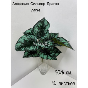 Куст малый. Алоказия искусственная Сильвер Драгон. 105134
