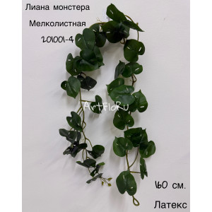 Лиана монстера искусственная латекс Мелколистная. Вид 4. 201001-4