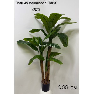 Пальма банановая Тайя 200. Пальма искусственная. 101071