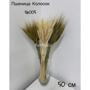 Сухоцветы Пшеница Колосок. 116005