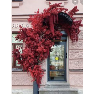 Оформление входной группы кафе Акцент на яркость 303002