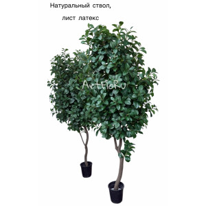 Дерево Магнолия искусственная мелкий лист Джейн. 900050