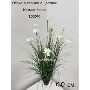 Куст малый. Осока искусственная с цветами Космея белая. 200042