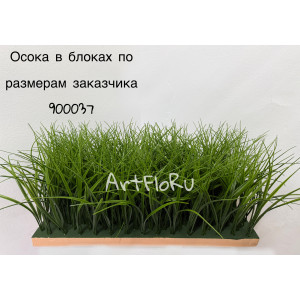 Осока 24 см. в блоках по размерам заказчика. 900037