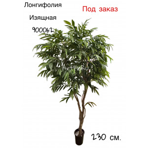 Дерево Лонгифолия искусственная Изящная. 900062