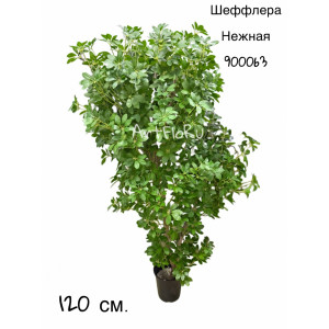 Дерево Шеффлера искусственная Нежная. 900063