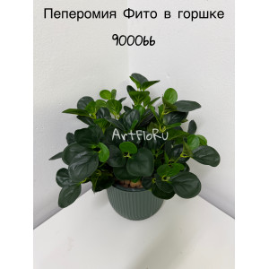 Куст малый. Пеперомия искусственная Фито в горшке. 900066