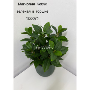 Куст малый Магнолия искусственная Кобус зеленый в горшке. 900067