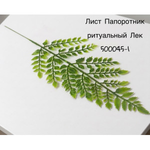 Лист Папоротник ритуальный из пластика Лек. 500045-1 Лист Папоротник ритуальный из пластика Лек. 500045-1