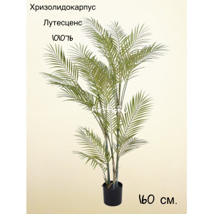 Пальма искусственная. Хризолидокарпус Лутесценс. 101076