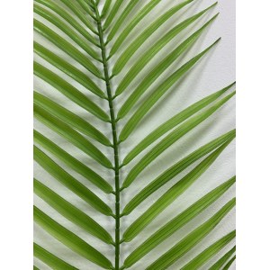ArtFloRu Лист финиковый искусственный. Лист пальмы тропической Робелини. Вариант 3. 106003