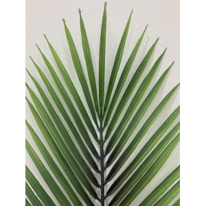 ArtFloRu Лист финиковый искусственный. Лист пальмы тропической Робелини. Вариант 4. 106004