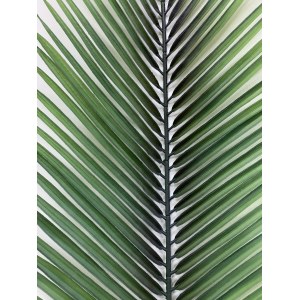 ArtFloRu Лист финиковый искусственный. Лист пальмы тропической Робелини. Вариант 4. 106004