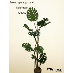 Куст Монстера кустовая Корневая. Монстера искусственная. 103006