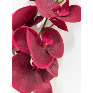 Орхидея фаленопсис искусственная. Орхидея Бордо. Вид 8. 109008