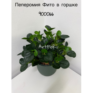 Куст малый. Пеперомия искусственная Фито. 105062