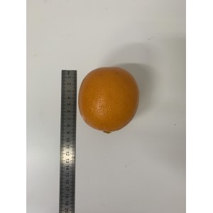 Муляж апельсина. Апельсин искусственный. 700002
